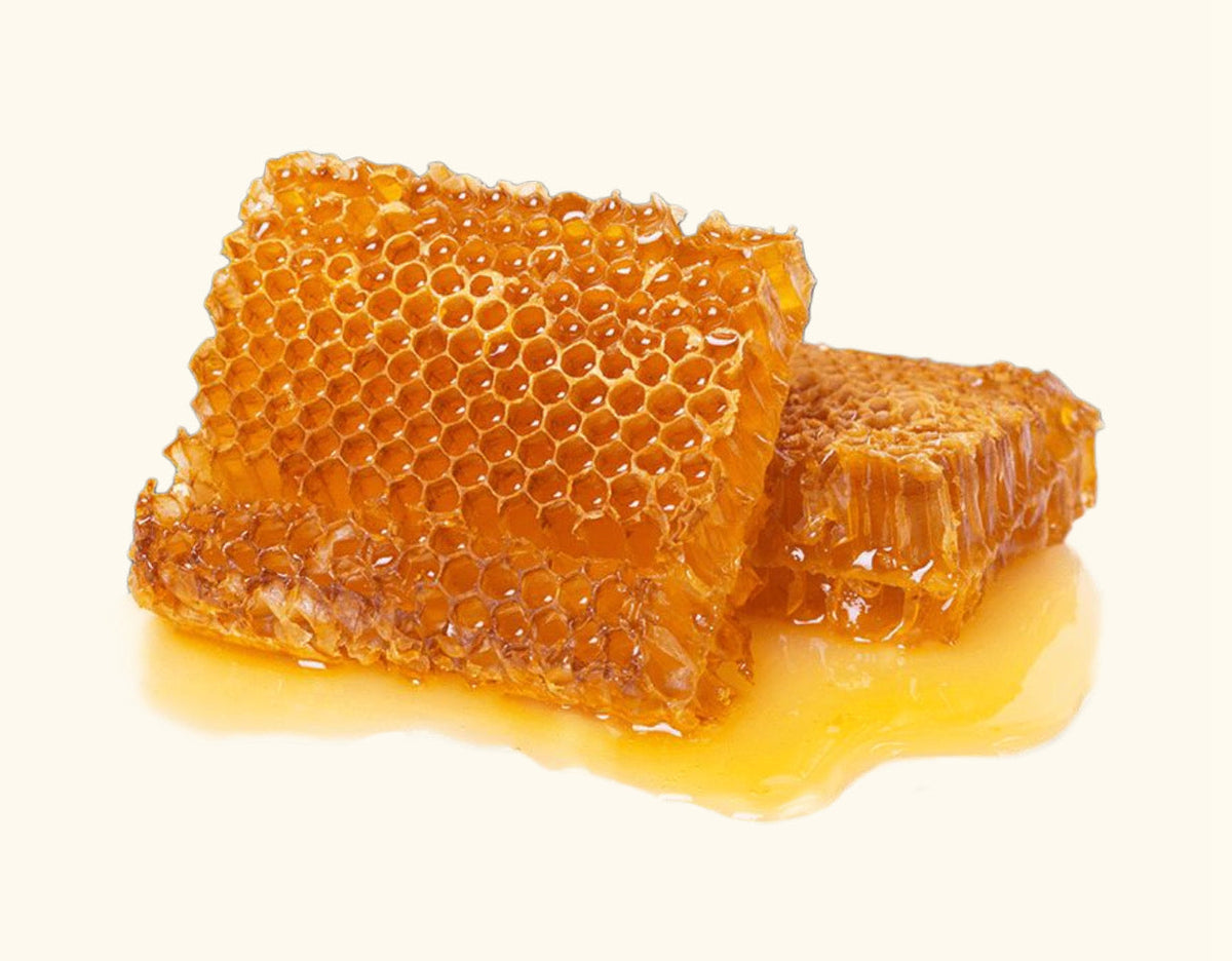 Trap Honey